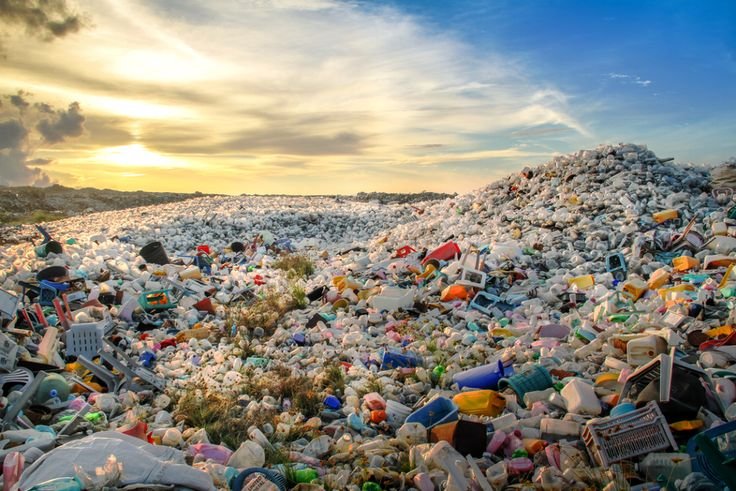 Mau ngurangin sampah, malah bikin P5 yang bawa sampah dari luar sekolah.